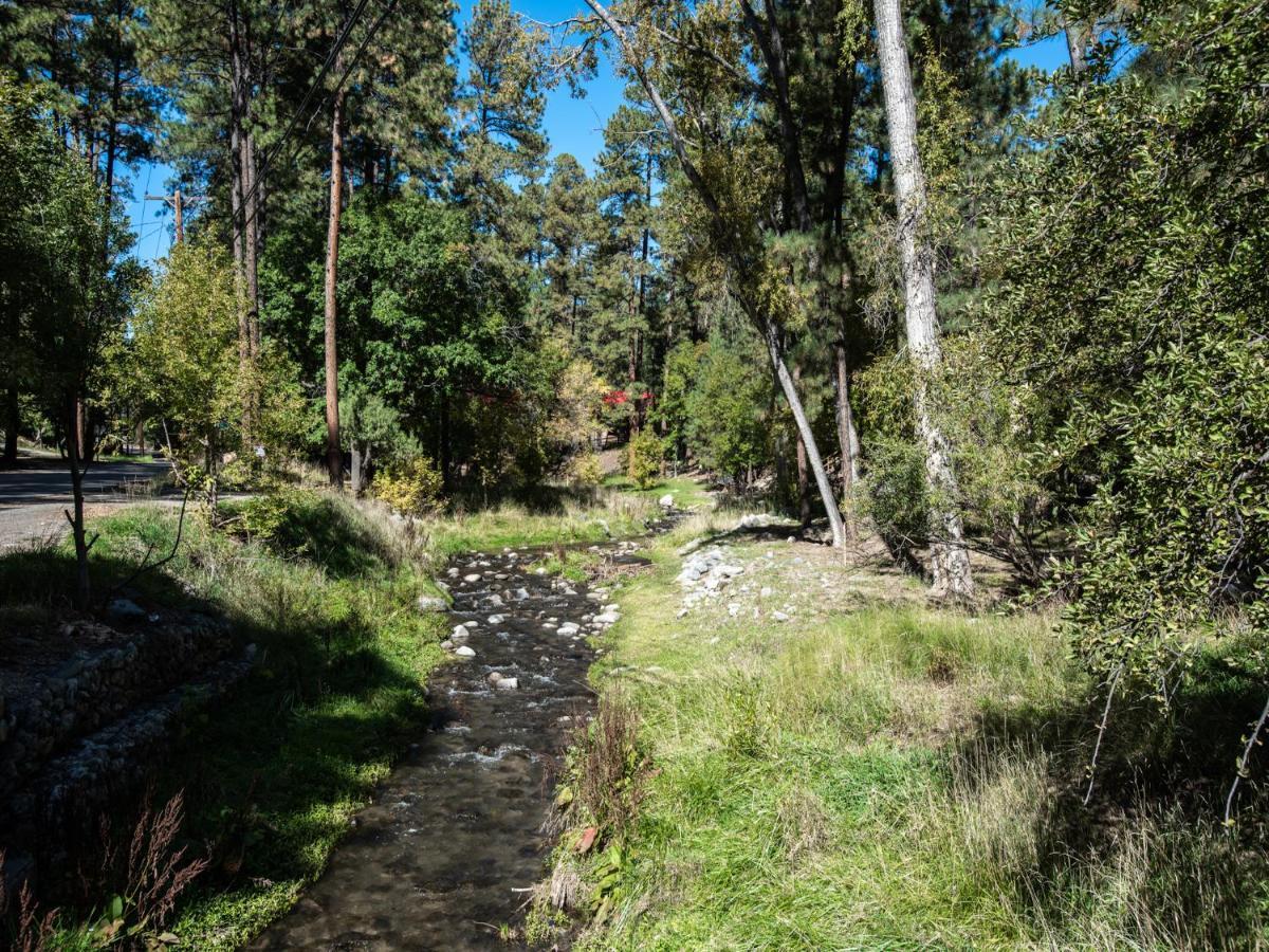 Apache Village 4, King Studio, Midtown, Sleeps 2 Ruidoso Eksteriør billede